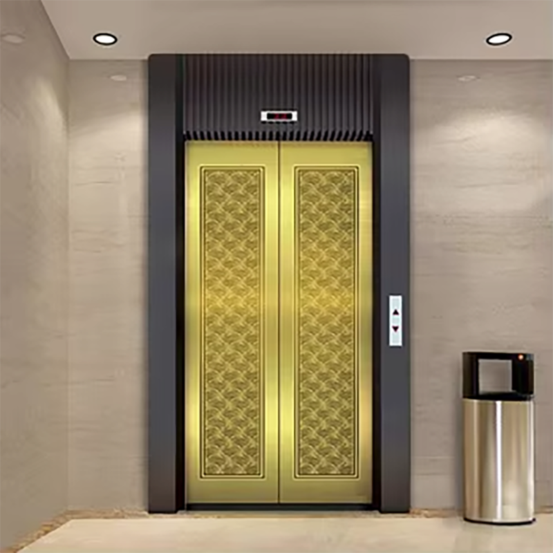 VTEP106 Elevadores Modern Passenger Elevator with Energy-Saving Features