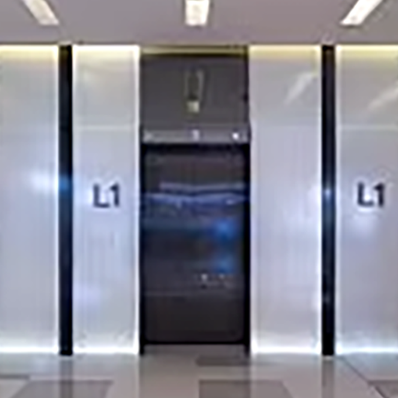 VTEP106 Elevadores Modern Passenger Elevator with Energy-Saving Features