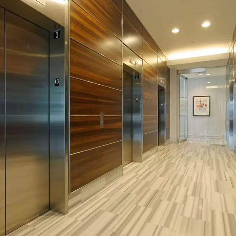 VTEP108 Elevadores Fast and Smooth Passenger Elevators for Commercial Properties Quick Service