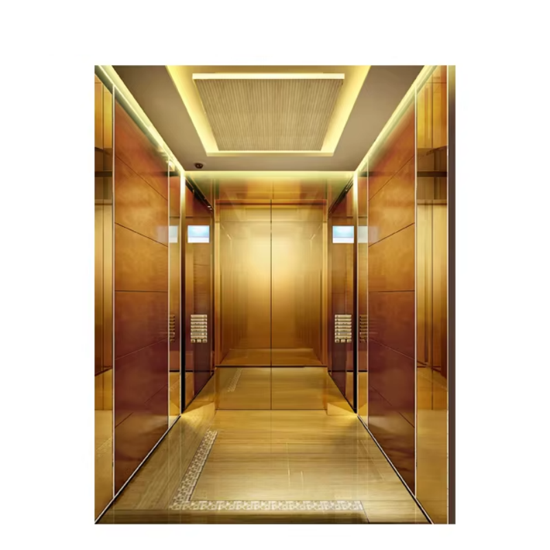 VTEP109 Elevadores User-Friendly Passenger Elevator with Intuitive Control Panel