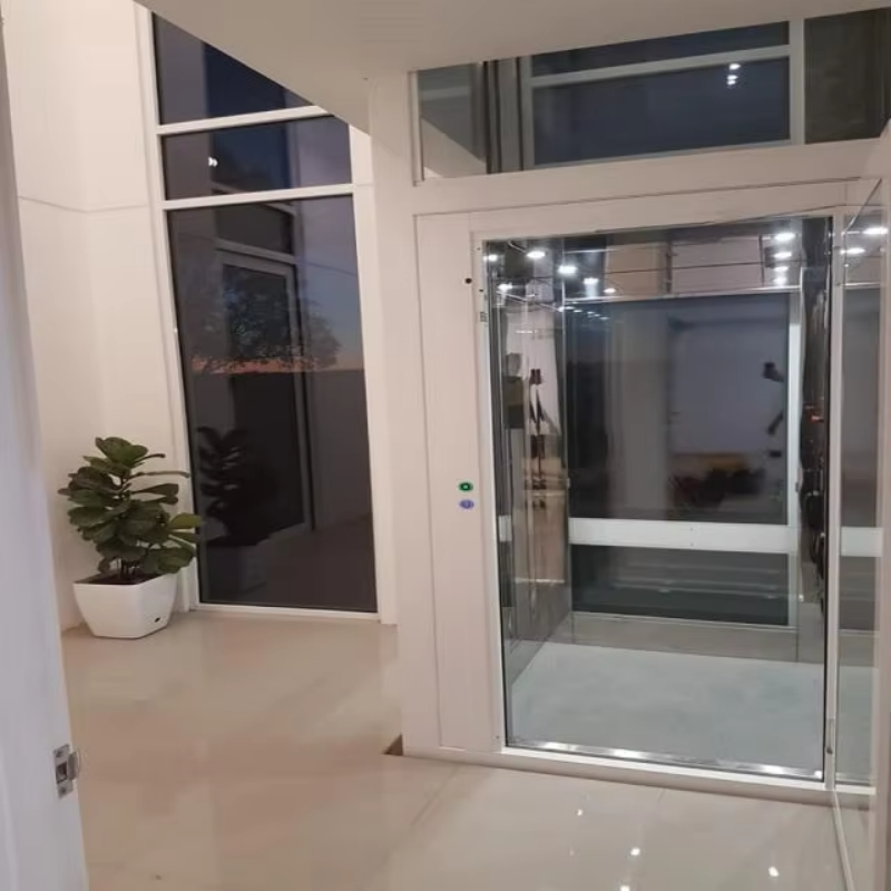 VTEV109 Ascensores Elevadores Stylish Glass Villa Elevator for Private Duplex Home