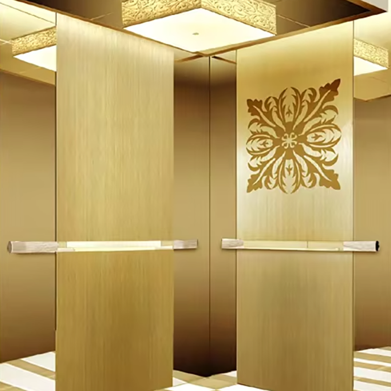 VTEO101 Ascensores Stylish Observation Elevator for Luxury Apartment and Office Buildings