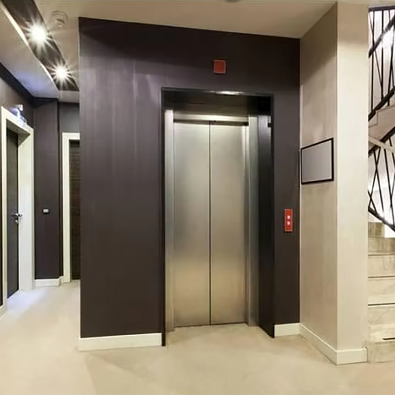 VTEO101 Ascensores Stylish Observation Elevator for Luxury Apartment and Office Buildings