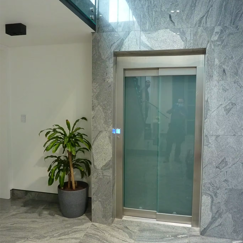 VTEO101 Ascensores Stylish Observation Elevator for Luxury Apartment and Office Buildings