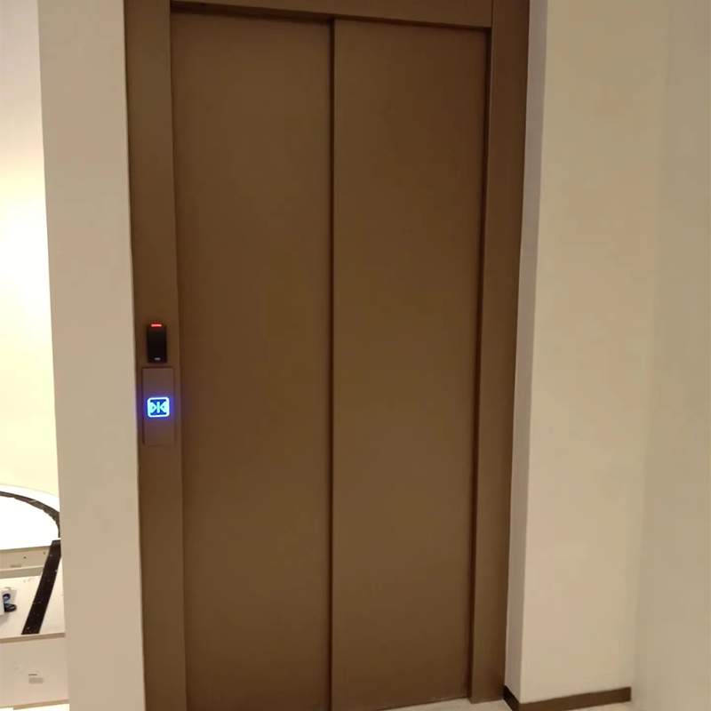 VTEP111Ascensores Customizable Passenger Elevators with Advanced Safety Features