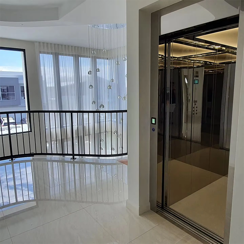 VTEP111Ascensores Customizable Passenger Elevators with Advanced Safety Features