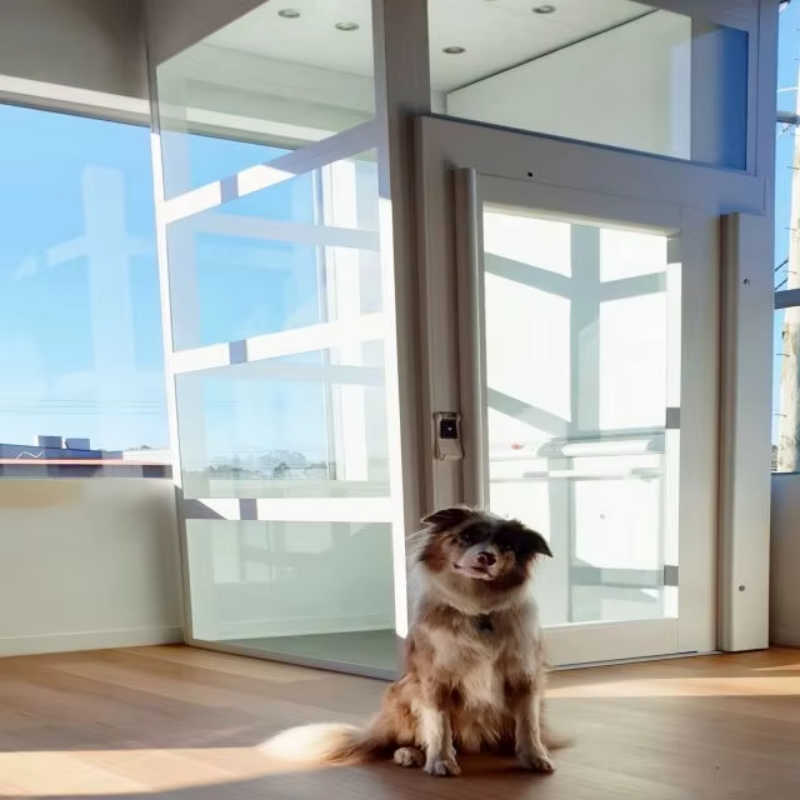 VTEP112 Elevadores High-Speed Passenger Elevator for Fast Vertical Movement