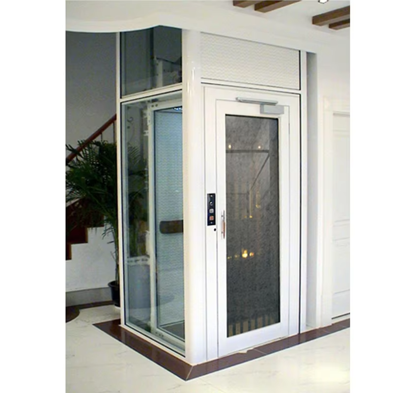 VTEV102 Ascensores Elevadores Energy Saving Villa Elevator for Residential Decoration