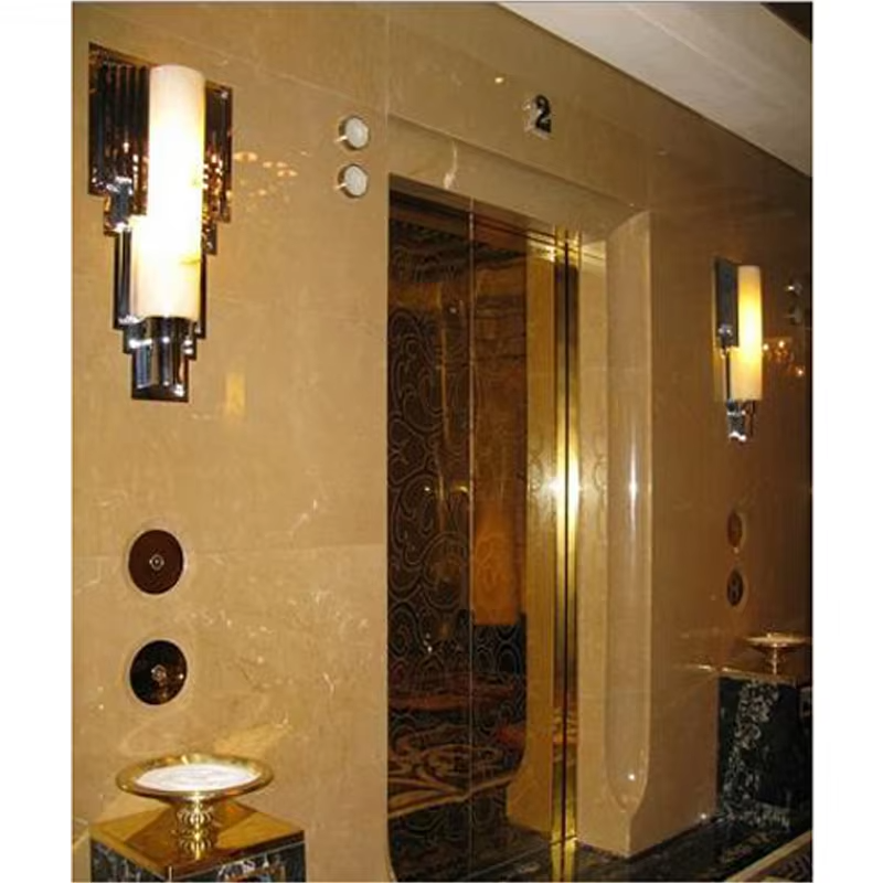 VTEV102 Ascensores Elevadores Energy Saving Villa Elevator for Residential Decoration