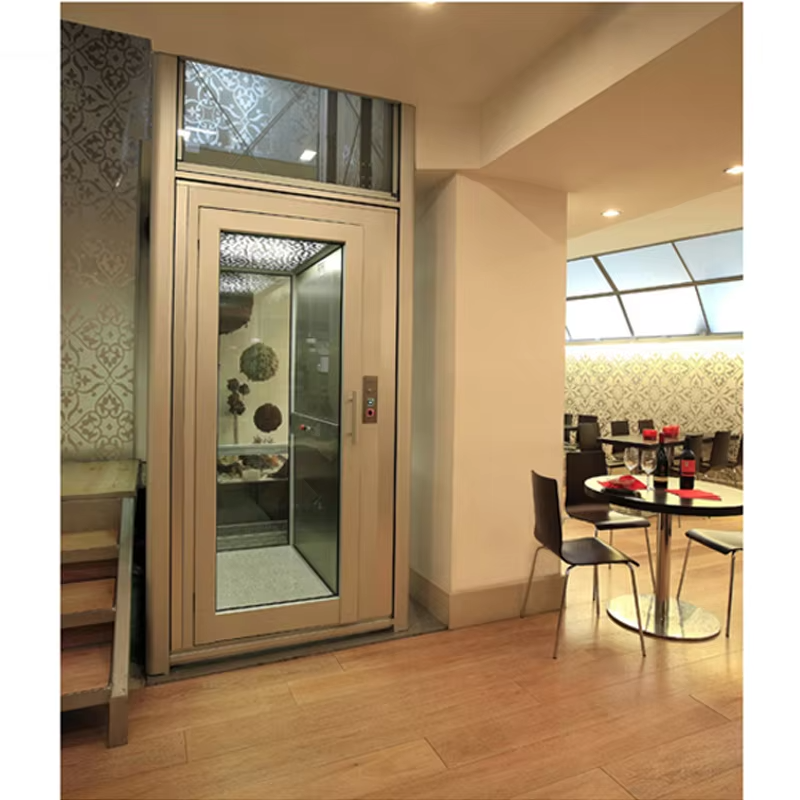 VTEV102 Ascensores Elevadores Energy Saving Villa Elevator for Residential Decoration