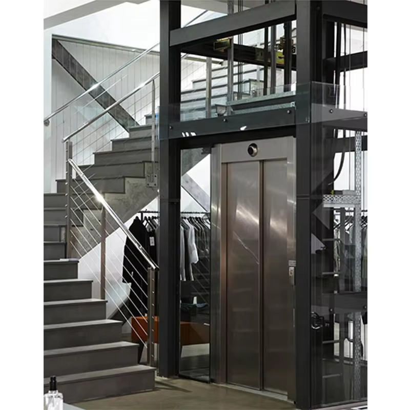 VTEV102 Ascensores Elevadores Energy Saving Villa Elevator for Residential Decoration