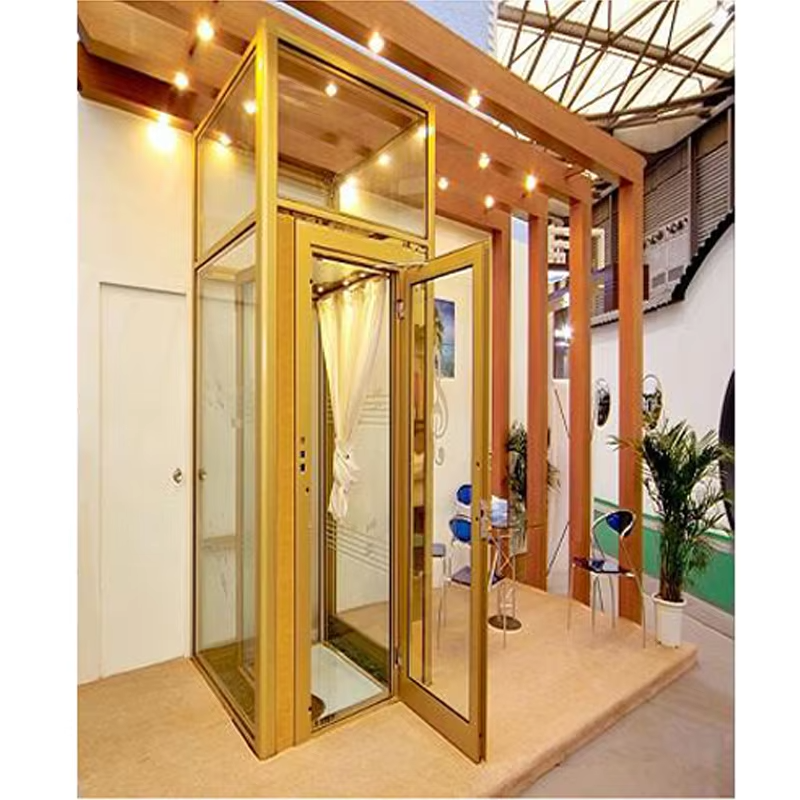 VTEV101 Ascensores Elevadores Beautiful Design Villa Lift for Modern Decoration Style