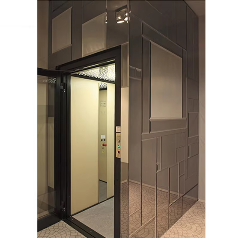 VTEV103 Ascensores Elevadores Smart Control Villa Lift for Comfortable Home Transport