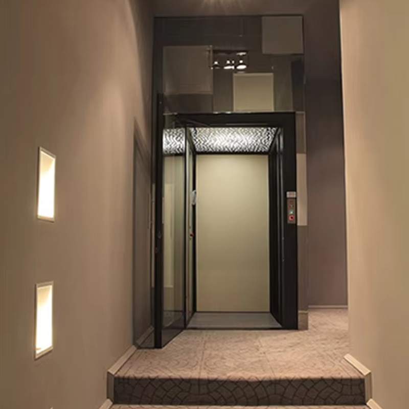 VTEV104 Ascensores Elevadores Luxury Stainless Steel Villa Elevator for Family Use