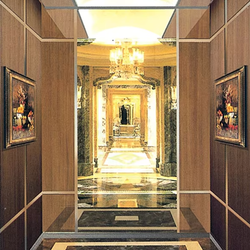 VTEP104 Elevadores Quiet and Smooth Passenger Elevator for Residential Complexes