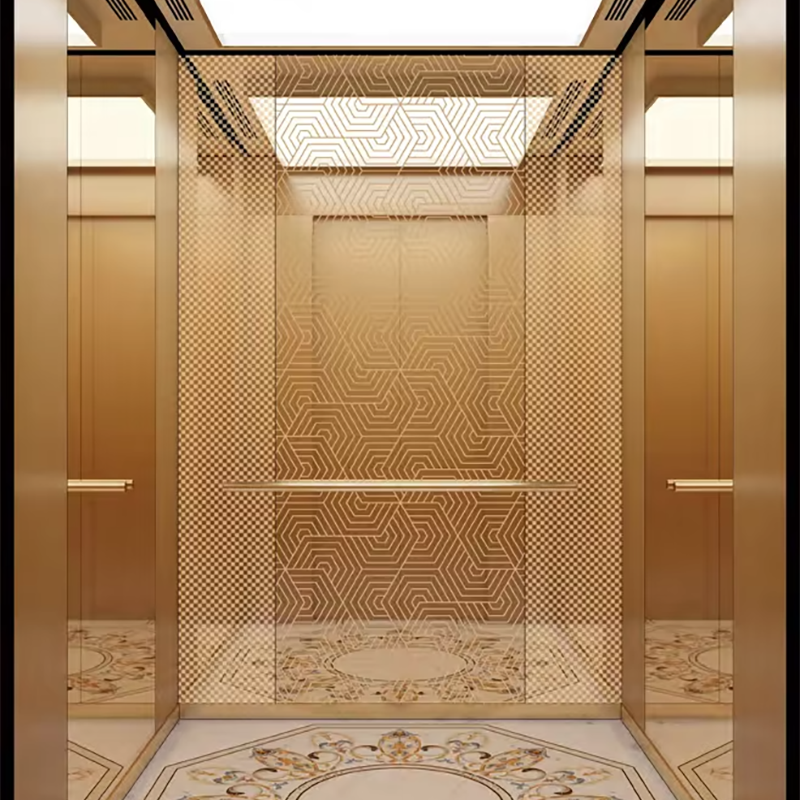 VTEP104 Elevadores Quiet and Smooth Passenger Elevator for Residential Complexes