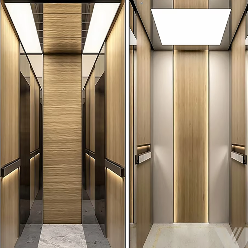 VTEP104 Elevadores Quiet and Smooth Passenger Elevator for Residential Complexes