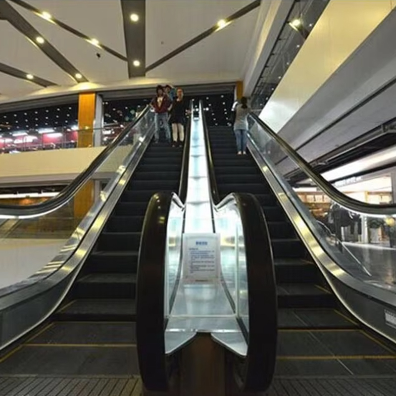 VTES102 0.5m_s Speed Elevator Outdoor Escalator and Moving Walks for Factory Price