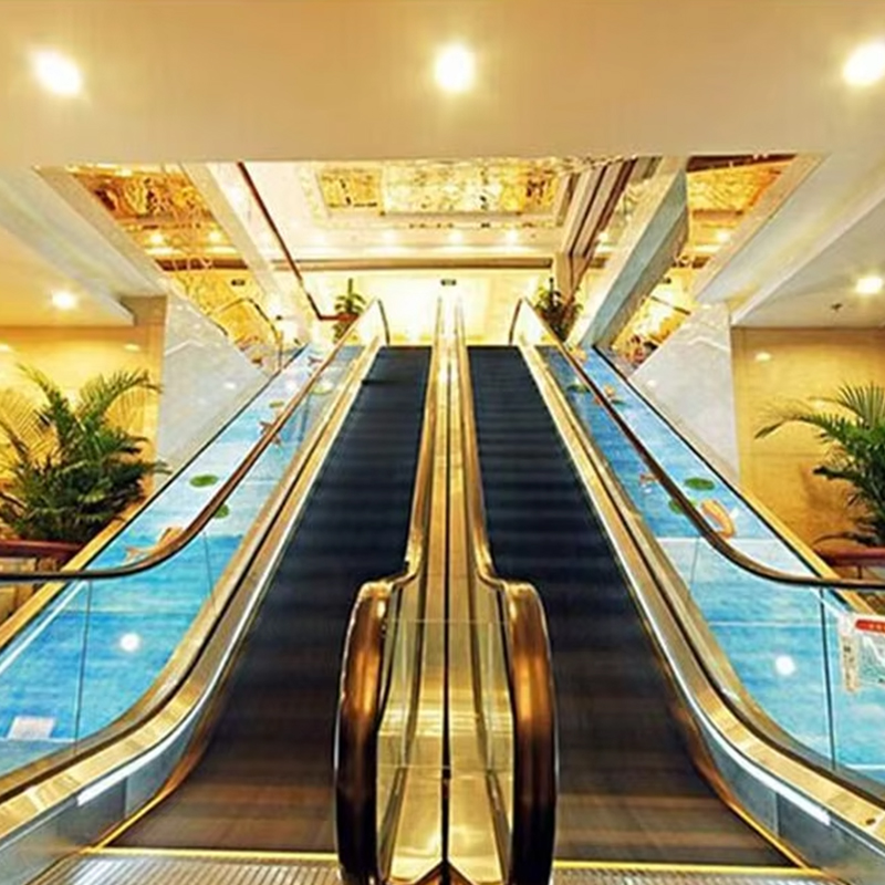 VTES102 0.5m_s Speed Elevator Outdoor Escalator and Moving Walks for Factory Price