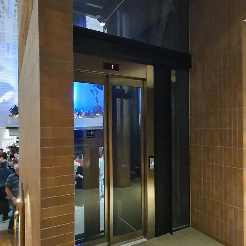 VTEP119 Ascensores Passenger Elevators Gearless AC for Multi-Story Buildings ISO9001 Certified Stainless Steel Easy Installation