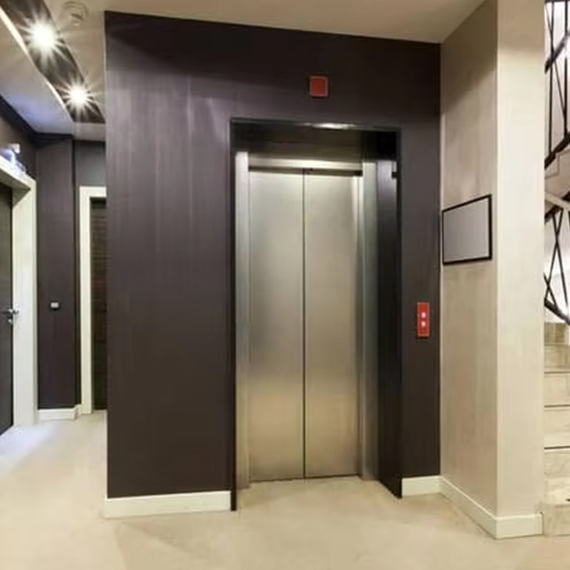 VTEP122 Elevadores Advanced and Space-Saving Passenger Elevator for High-Rise Buildings