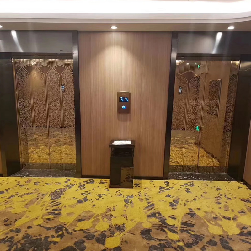 VTEP122 Elevadores Advanced and Space-Saving Passenger Elevator for High-Rise Buildings