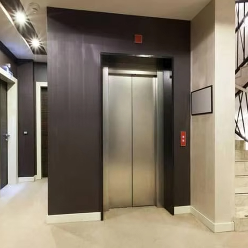 VTEP123 Luxury Customized Gearless AC Drive Residential Passenger Elevator with Panoramic Design