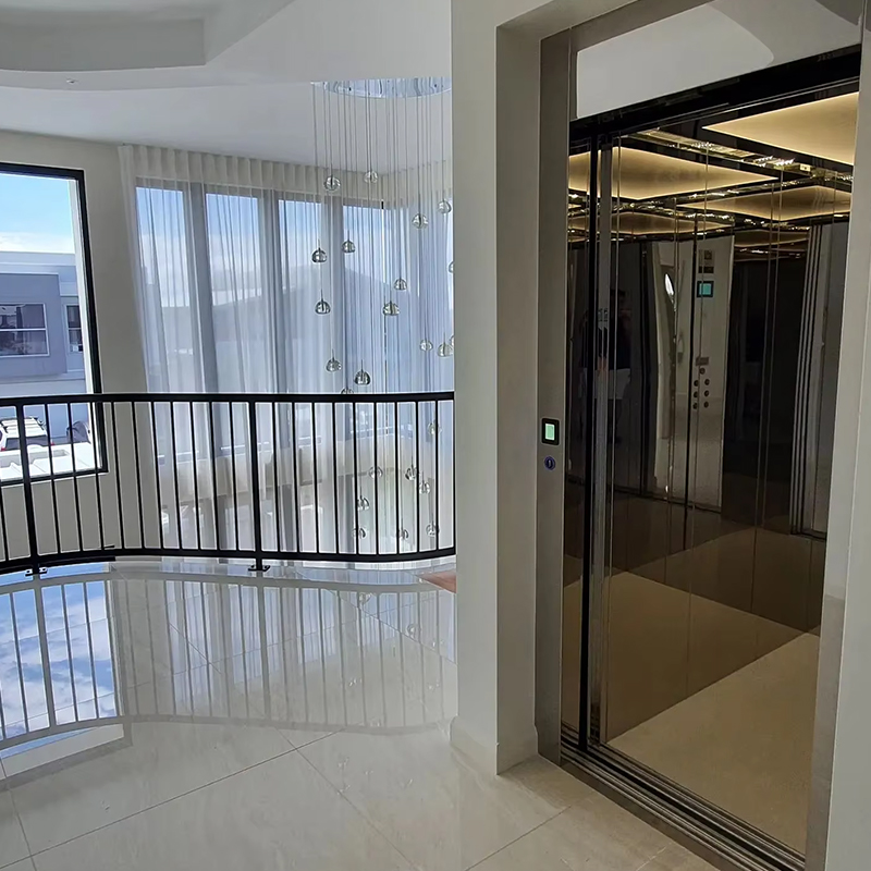 VTEP123 Luxury Customized Gearless AC Drive Residential Passenger Elevator with Panoramic Design