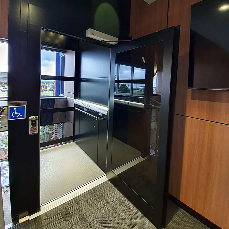VTEP123 Luxury Customized Gearless AC Drive Residential Passenger Elevator with Panoramic Design