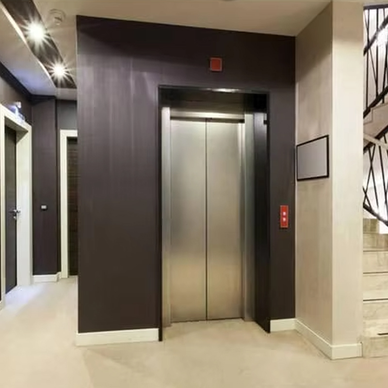 VTEP124 China Brand Modern Passenger Elevator Manufacturer High Performance Lift Hotel Use PVC Floor Stainless Steel AC Drive