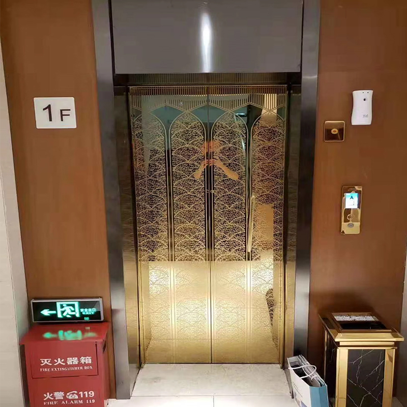 VTEP124 China Brand Modern Passenger Elevator Manufacturer High Performance Lift Hotel Use PVC Floor Stainless Steel AC Drive