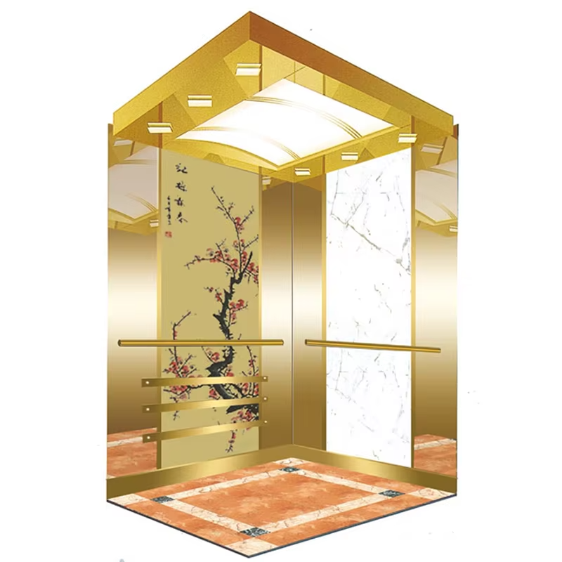 VTEP114 Ascensores Elevadores Customized Passenger Elevators with Advanced Features Best Value for Money