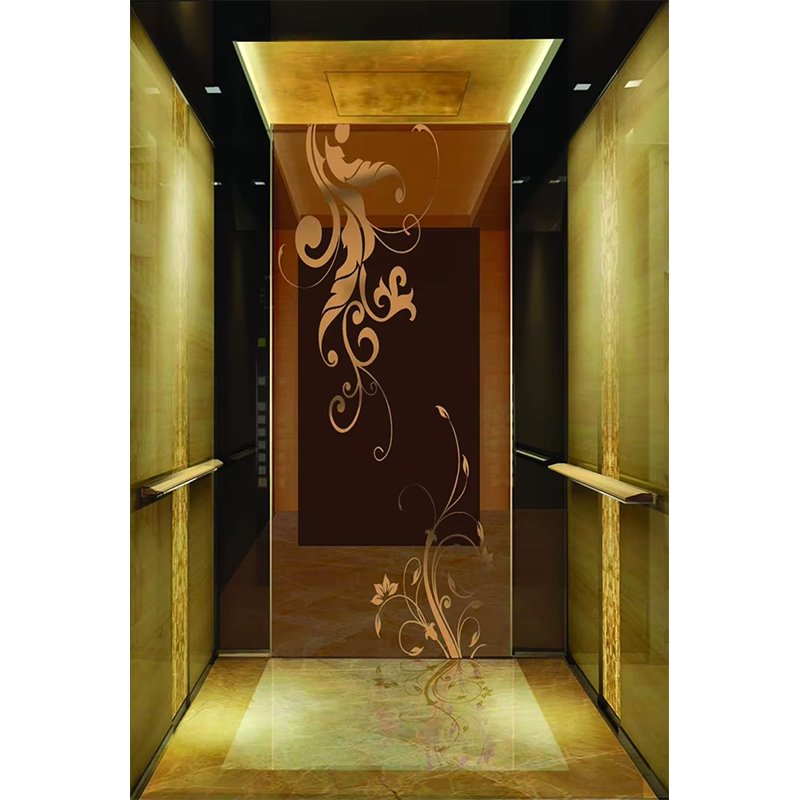 VTSP133 Luxury Hotel Elevator Cabin with Premium Stainless Steel Contemporary Design Customized Color 1 Year Warranty