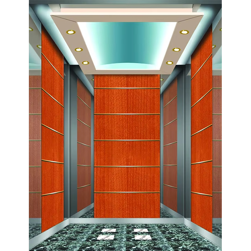 VTSP133 Luxury Hotel Elevator Cabin with Premium Stainless Steel Contemporary Design Customized Color 1 Year Warranty
