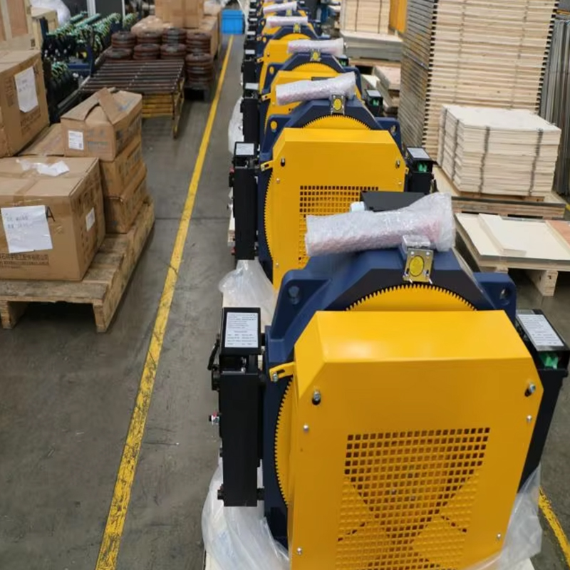 VTSP252 Montanari Gearless Traction Machine MCG200 Lift Motor 800-1350KGS Motor Engine