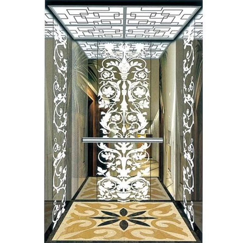 VTSP127 Elevator Parts & Accessories Durable Stainless Steel Lift Cabin with Skirting and Handrail